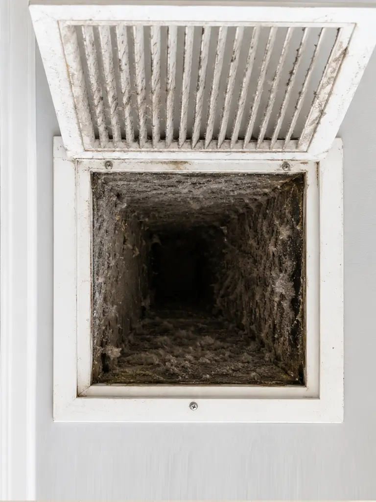 Clean residential air vent